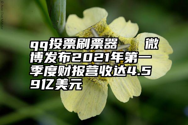 qq投票刷票器   微博发布2021年第一季度财报营收达4.59亿美元