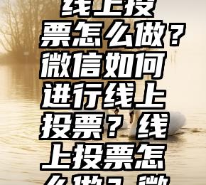 微信圈求别人投票怎么发   线上投票怎么做？微信如何进行线上投票？线上投票怎么做？微信如何进行线上投票？