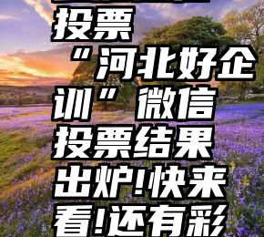 参加微信投票   “河北好企训”微信投票结果出炉!快来看!还有彩蛋!