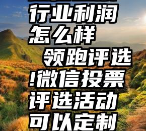 微信投票行业利润怎么样   领跑评选!微信投票评选活动可以定制吗