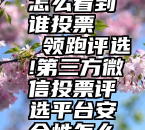 微信投票怎么看到谁投票   领跑评选!第三方微信投票评选平台安全性怎么保证