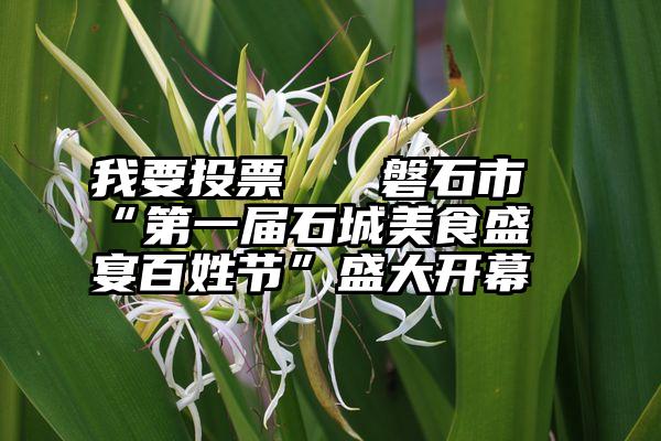 我要投票   磐石市“第一届石城美食盛宴百姓节”盛大开幕