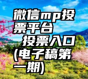 微信mp投票平台   投票入口(电子稿第一期)