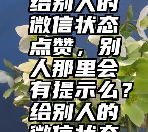 微信投票泄漏个人信息   给别人的微信状态点赞，别人那里会有提示么？给别人的微信状态点赞，别人那里会有提示么？