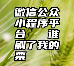 微信公众小程序平台   谁刷了我的票