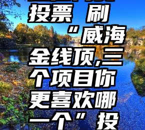 微信网页投票 刷   “威海金线顶,三个项目你更喜欢哪一个”投票结果