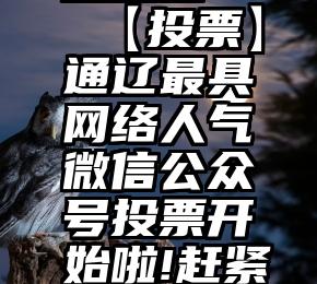 微信投票互投吧   【投票】通辽最具网络人气微信公众号投票开始啦!赶紧为你喜欢的...