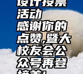 设计投票活动   感谢你的点赞,暨大校友会公众号再登榜首!