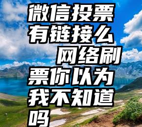 微信投票有链接么   网络刷票你以为我不知道吗