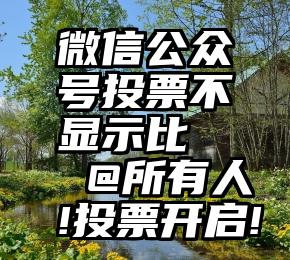 微信公众号投票不显示比   @所有人!投票开启!