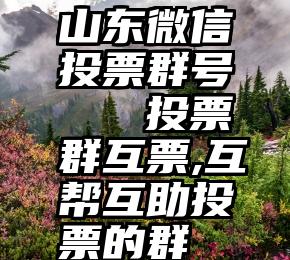 山东微信投票群号   投票群互票,互帮互助投票的群