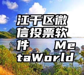 江干区微信投票软件   MetaWorld