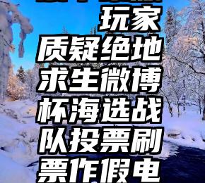 51微信投票苹果版   玩家质疑绝地求生微博杯海选战队投票刷票作假电竞需要公平精神