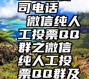 阜阳市人工投票公司电话   微信纯人工投票QQ群之微信纯人工投票QQ群及微信投票点赞群