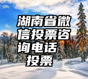 湖南省微信投票咨询电话   投票