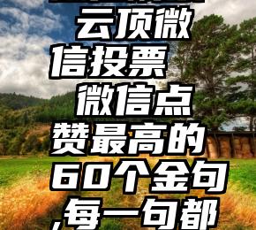 微信刷票 云顶微信投票   微信点赞最高的60个金句,每一句都很喜欢!