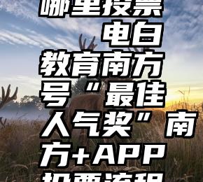 哪里投票   电白教育南方号“最佳人气奖”南方+APP投票流程