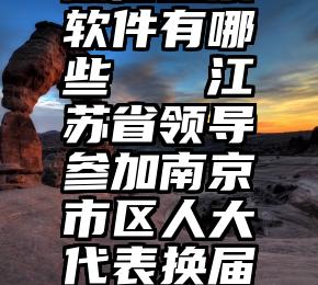 微信投票软件有哪些   江苏省领导参加南京市区人大代表换届选举投票