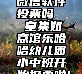 微信软件投票吗   皇集如意馆乐哈哈幼儿园小中班开始投票啦!