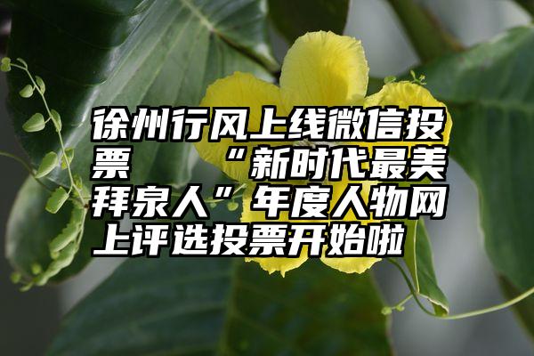 徐州行风上线微信投票   “新时代最美拜泉人”年度人物网上评选投票开始啦