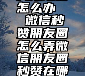 微信投票只限地区怎么办   微信秒赞朋友圈怎么弄微信朋友圈秒赞在哪里设置介绍