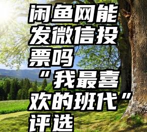 闲鱼网能发微信投票吗   “我最喜欢的班代”评选