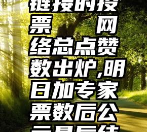 微信一个链接的投票   网络总点赞数出炉,明日加专家票数后公示最后结果!