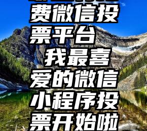 哪里有免费微信投票平台   我最喜爱的微信小程序投票开始啦~