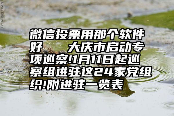 微信投票用那个软件好   大庆市启动专项巡察!1月11日起巡察组进驻这24家党组织!附进驻一览表