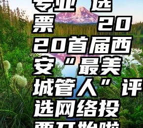 专业 选票   2020首届西安“最美城管人”评选网络投票开始啦