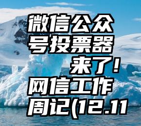 微信公众号投票器   来了!网信工作周记(12.11