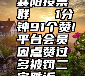 襄阳投票群   1分钟91个赞!平台会员因点赞过多被罚二审胜诉