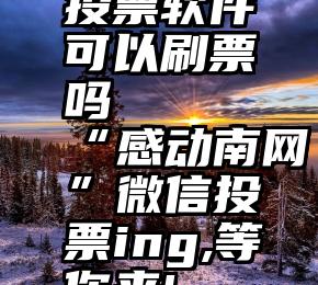 投票软件可以刷票吗   “感动南网”微信投票ing,等你来!