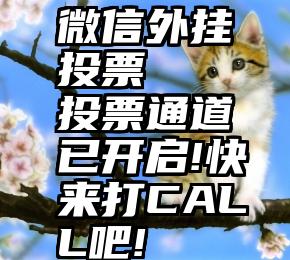 微信外挂投票   投票通道已开启!快来打CALL吧!