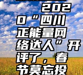 蜘蛛投票   2020“四川正能量网络达人”开评了，春节莫忘投一票!
