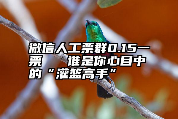 微信人工票群0.15一票   谁是你心目中的“灌篮高手”