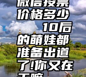 微信投票价格多少   10后的萌娃都准备出道了!你又在干嘛