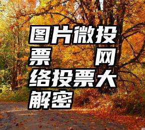 图片微投票   网络投票大解密