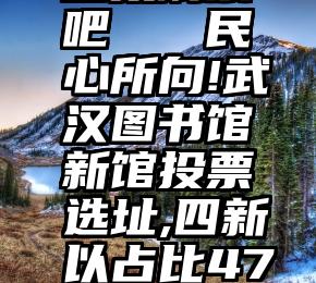 直接刷票吧   民心所向!武汉图书馆新馆投票选址,四新以占比47%领先