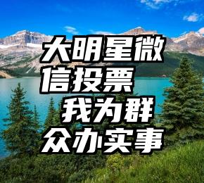 大明星微信投票   我为群众办实事