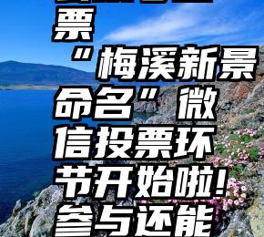 凡科微信公众号投票   “梅溪新景命名”微信投票环节开始啦!参与还能赢手机流量