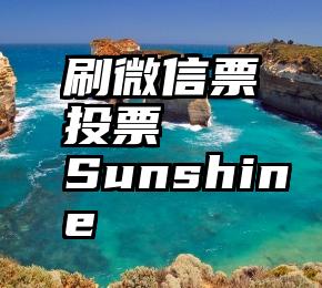 刷微信票投票   Sunshine