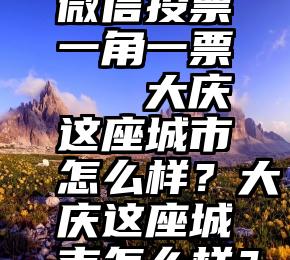 微信投票一角一票   大庆这座城市怎么样？大庆这座城市怎么样？