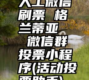 人工微信刷票 格兰蒂亚   微信群投票小程序(活动投票助手)