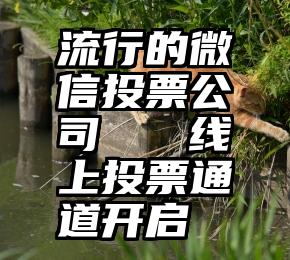 流行的微信投票公司   线上投票通道开启