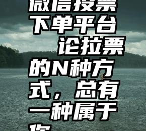 微信投票下单平台   论拉票的N种方式，总有一种属于你