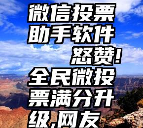 微信投票助手软件   怒赞!全民微投票满分升级,网友