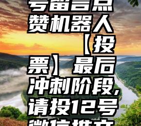 微信公众号留言点赞机器人   【投票】最后冲刺阶段,请投12号微信推文一票