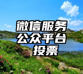 微信服务公众平台   投票