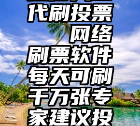 微信人工代刷投票   网络刷票软件每天可刷千万张专家建议投票实名